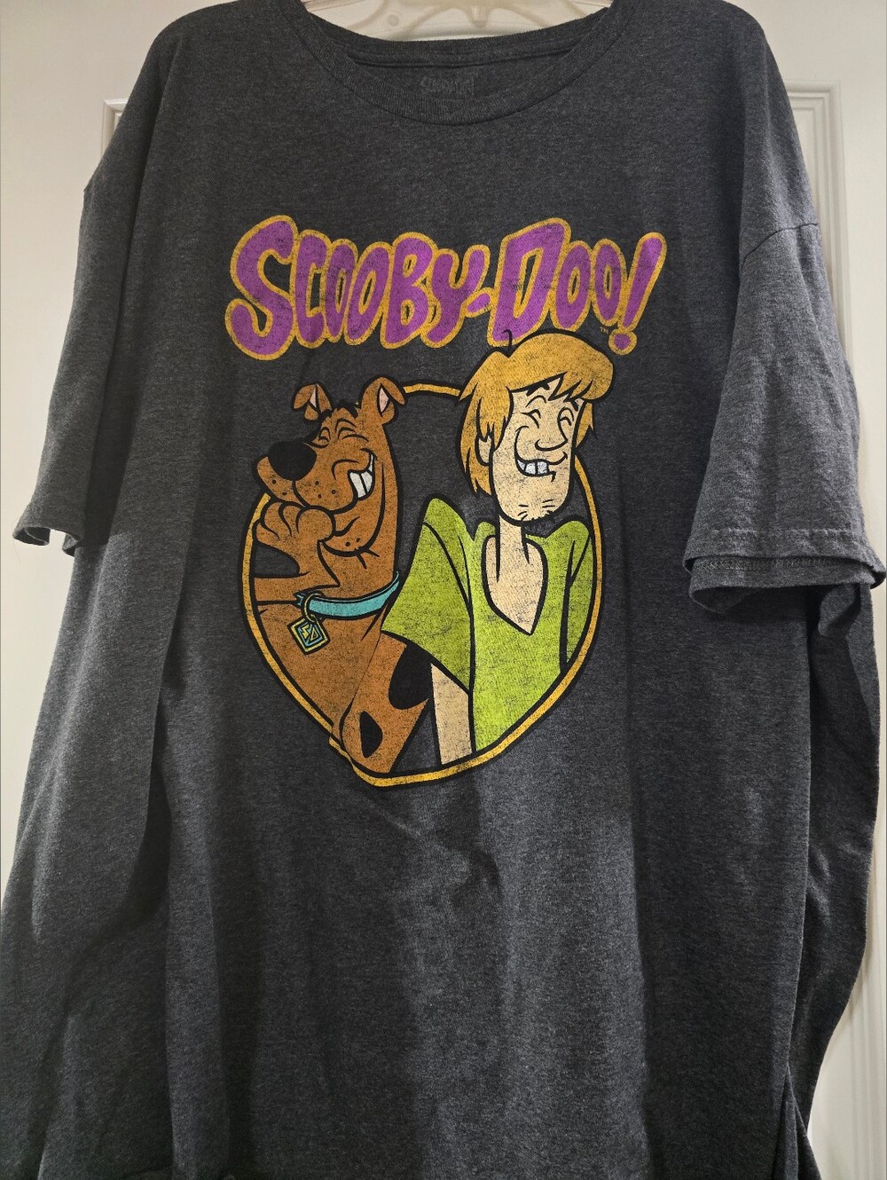 Scooby-Doo Graphic Short Sleeve Tee - Charcoal with Purple & Green Print